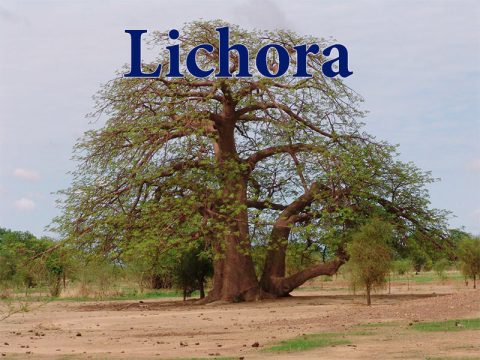 Welcome to Lichora! (first test post)